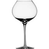 Orrefors Difference Mature Red Wine Glass 65cl