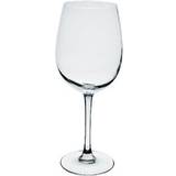 Chef & Sommelier Tulip White Wine Glass 25cl