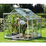 Vitavia Freestanding Greenhouses Vitavia Venus 3800 3.8m² Aluminum Glass