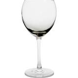 Denby Glasses Denby Halo Praline Wine Glass 45cl 2pcs