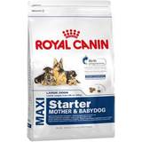 Royal canin adult maxi 15kg Royal Canin Maxi Starter 15kg