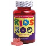 Acrilex Egenvård Kids Zoo C-Vitamin Propolis Elderberry & Rosehip 60 pcs