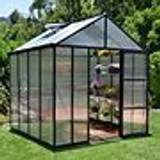 Square Freestanding Greenhouses Palram Glory 6m² Aluminum Polycarbonate