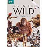 Spy in the Wild [DVD]