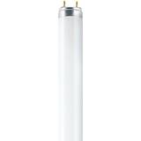 Osram L Fluorescent Lamp 36W G13 840
