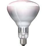 Reflector Incandescent Lamps Philips BR125 IR Incandescent Lamp 250W E27