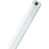 Osram L Fluorescent Lamp 30W G13 965