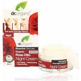Dr. Organic Organic Rose Otto Night Cream 50ml