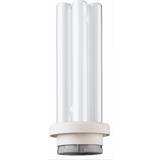 Philips Master PL-R ECO Fluorescent Lamp 14W GR14Q-1 840