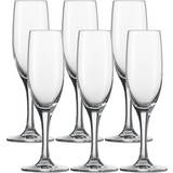 Schott Zwiesel Champagne Glasses Schott Zwiesel Mondial Champagne Glass 19cl 6pcs
