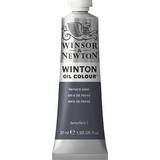 Grey Oil Paint Winsor & Newton Winton Oil Color Paynes Gray 37ml