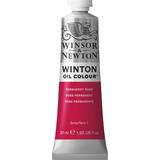 Oil Paint on sale Winsor & Newton Winton Oil Color Permanent Rose 37ml