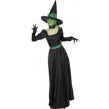 Smiffys Wicked Witch Costume 33134