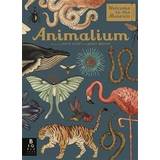 Animalium (Welcome To The Museum) (Hardcover, 2017)