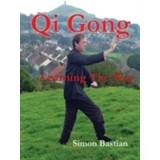 Qi Gong (Paperback, 2013)