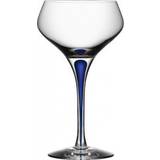 Orrefors Intermezzo Champagne Glass 29cl