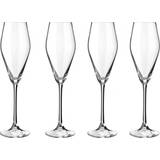 Le Creuset Glasses Le Creuset Mousserande Champagne Glass 29cl 4pcs