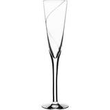 Kosta Boda Champagne Glasses Kosta Boda Line Champagne Glass 15cl