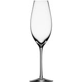 Orrefors Difference Sparkling Champagne Glass 32cl