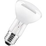 Dimmerable Incandescent Lamps Leuci Incandescent Lamps 60W E27