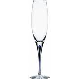 Blue Champagne Glasses Orrefors Intermezzo Champagne Glass 26cl