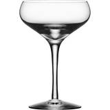 Orrefors more Orrefors More Coupe Champagne Glass 21cl 4pcs