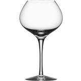 Orrefors Glasses Orrefors More Red Wine Glass 48cl 4pcs