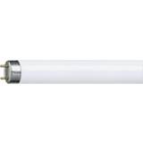 Philips Master TL-D Xtreme Fluorescent Lamp 17.7W G13