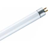 Osram Lumilux T5 HE Fluorescent Lamp 14W G5