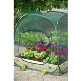 Tunnel Mini Greenhouses Nature Pop-up 1m² Stainless steel Plastic