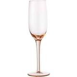 Bloomingville Pink Champagne Glass 20cl