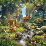 Digital Prints Wallpapers Walltastic Animals Of The Forest (43060)