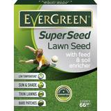 Grass Seeds Evergreen Super Seed 2kg 66m²