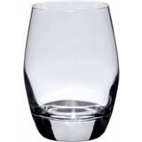 Exxent Drinking Glasses Exxent Malea Drinking Glass 30cl 24pcs