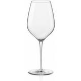 Exxent Kitchen Accessories Exxent InAlto Red Wine Glass, White Wine Glass 43cl 24pcs