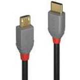 Lindy Anthra Line USB C-USB Micro-B 2.0 2m
