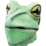 Green Head Masks Fancy Dress Bristol Frog Rubber Overhead Mask