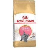 Royal canin kitten food Royal Canin British Shorthair Kitten 10kg