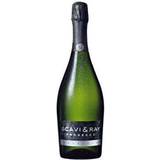 Italy Sparkling Wines Scavi & Ray Prosecco DOC 11% 75cl