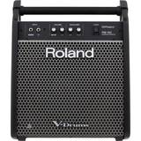 Mains Drum Amplifiers Roland PM-100