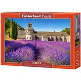Castorland Classic Jigsaw Puzzles Castorland Lavender Field in Provence France 1000 Pieces