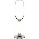 Olympia Champagne Glasses Olympia Modale Champagne Glass 21.5cl 6pcs