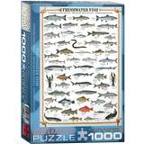Eurographics Freshwater Fish 1000 Pieces