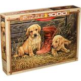 Eurographics Classic Jigsaw Puzzles Eurographics Something Old Something New 1000 Pieces