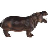 Safari Hippopotamus 229029