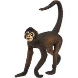 Safari Spider Monkey 291629
