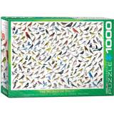 Eurographics Classic Jigsaw Puzzles Eurographics The World of Birds 1000 Pieces
