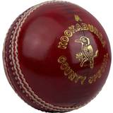 Kookaburra Cricket Balls Kookaburra County Special Cricket Ball