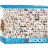 Eurographics The World of Dogs 2000 Pieces