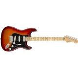 Fender Electric Guitar on sale Fender Player Stratocaster Plus Top